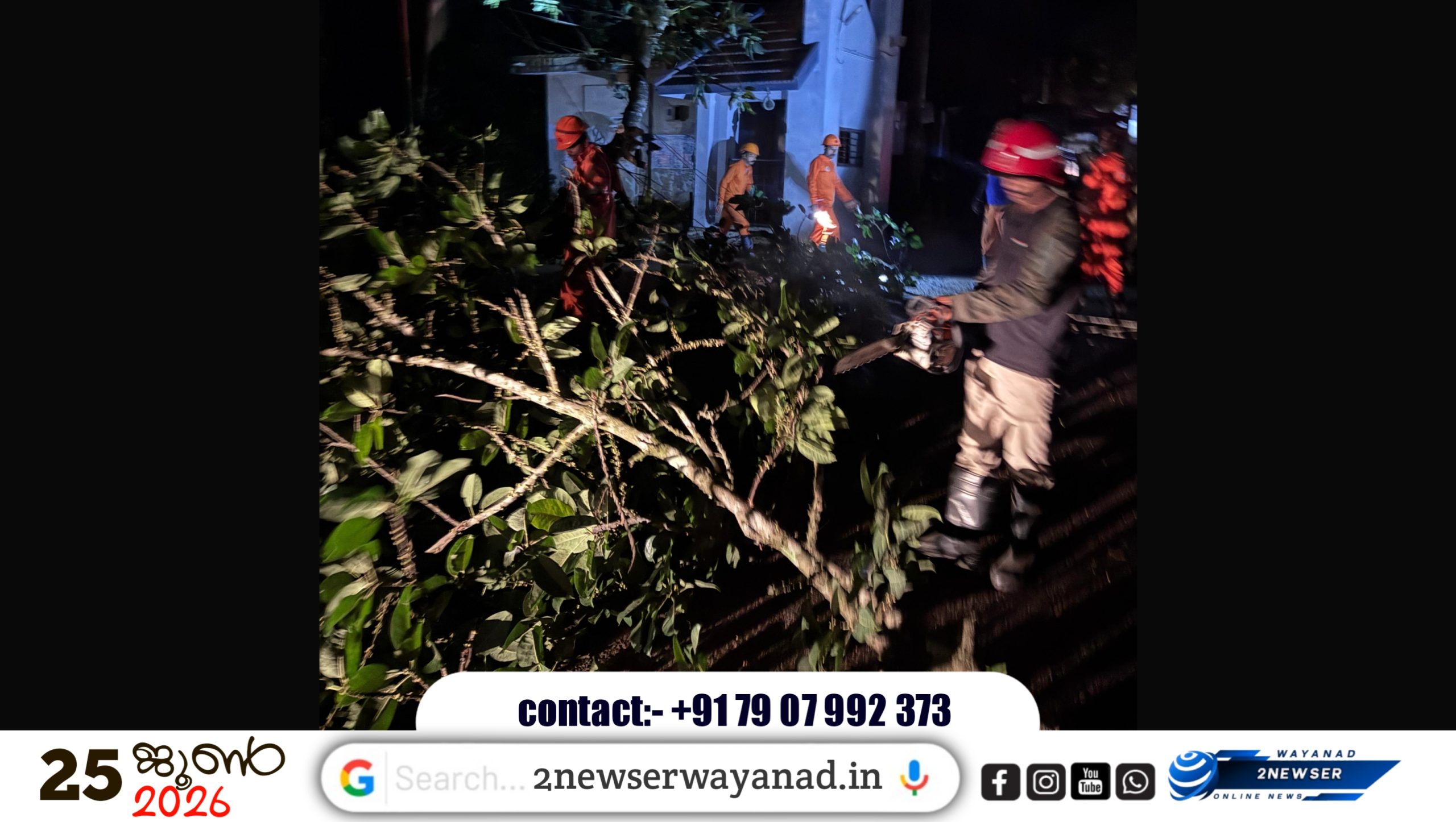 വയനാട് മെഡിക്കൽ കോളേജ് ഗേറ്റിന് മുൻപിൽ വൻ മരശിഖരം ഒടിഞ്ഞുവീണു; ഗതാഗതം തടസ്സപ്പെട്ടു